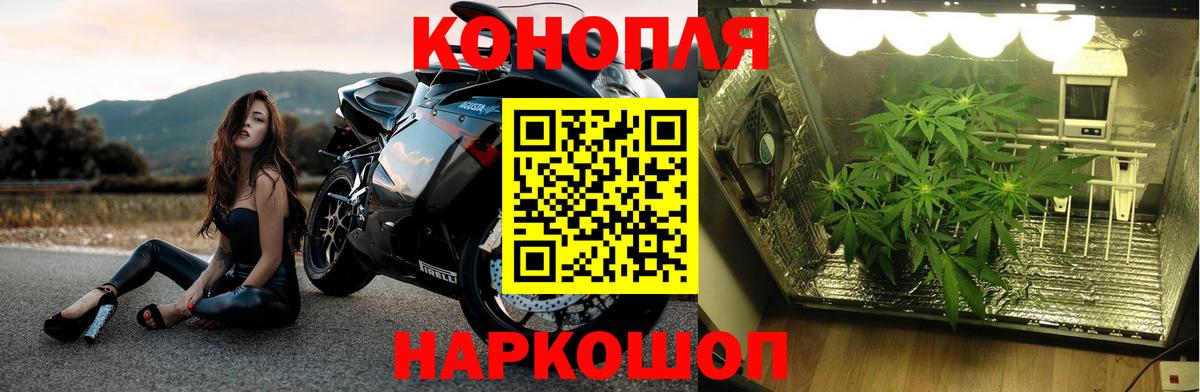МАРИХУАНА LSD WEED  Бошки марихуана Ganja  Каннабис AK-47  Владимир  Вход с VPN 