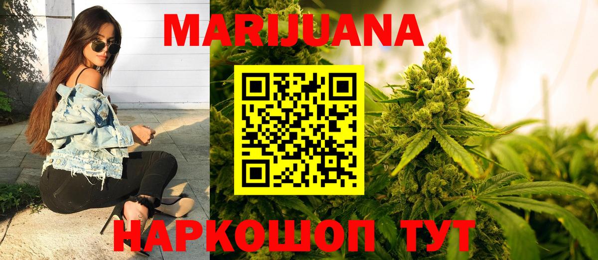 Канабис конопля Владимир
